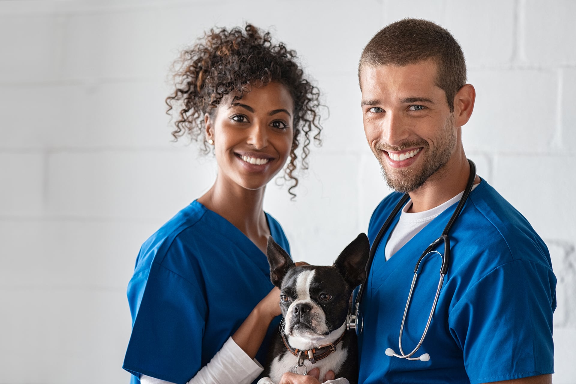 Physician Assistants Orthopaedic Surgery, Inc.